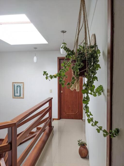 Casa Mua Hotel San Cristóbal de Las Casas Buitenkant foto