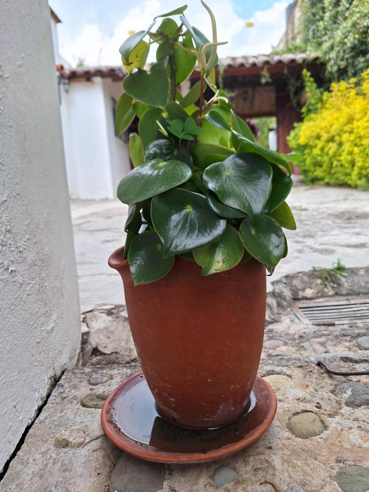 Casa Mua Hotel San Cristóbal de Las Casas Kamer foto